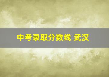 中考录取分数线 武汉